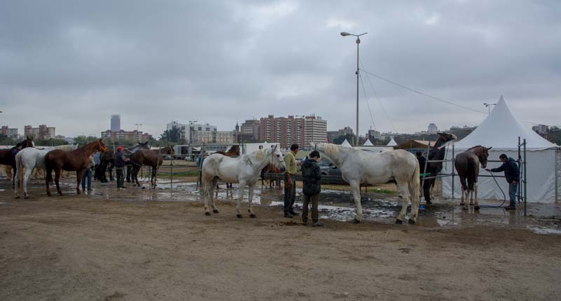 Fotos de las cuadras de la Feria de Sevilla 1