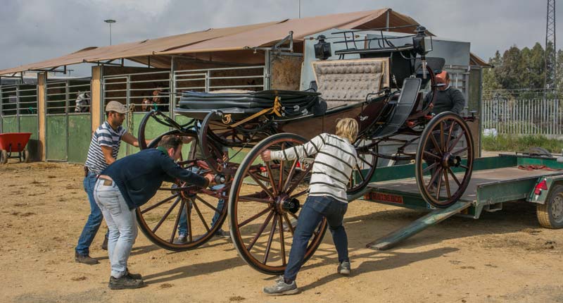 Fotos de las cuadras de la Feria de Sevilla 11