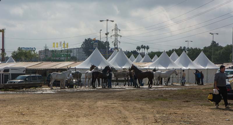 Fotos de las cuadras de la Feria de Sevilla 12