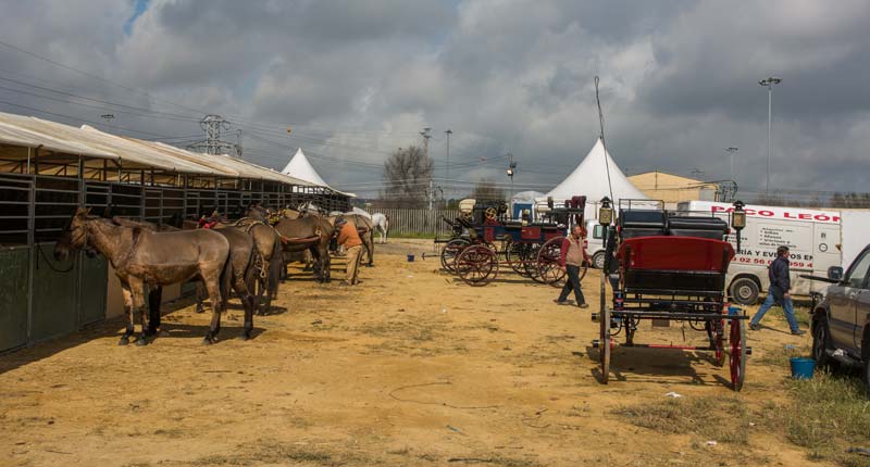 Fotos de las cuadras de la Feria de Sevilla 13