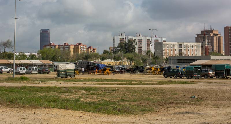 Fotos de las cuadras de la Feria de Sevilla 14