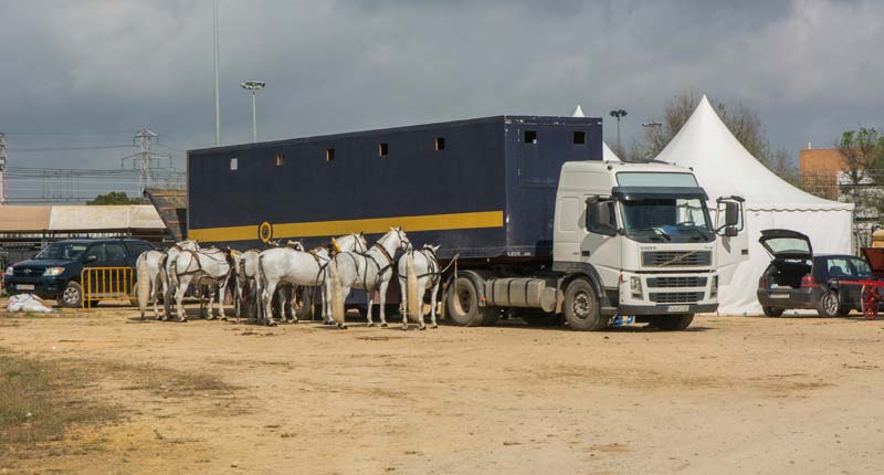 Fotos de las cuadras de la Feria de Sevilla 15