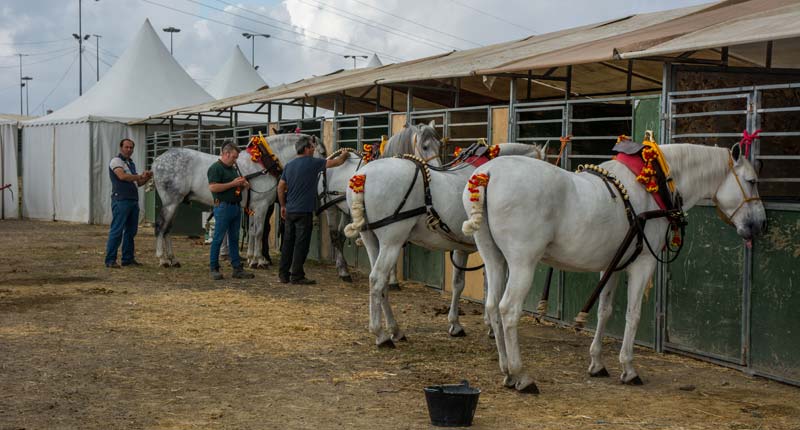 Fotos de las cuadras de la Feria de Sevilla 20