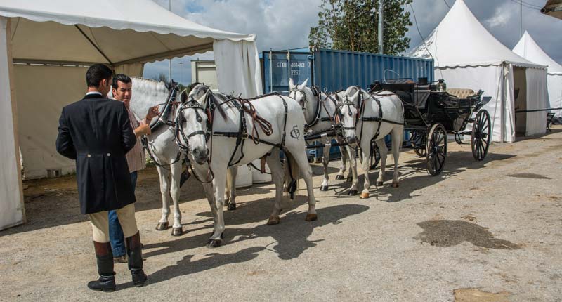 Fotos de las cuadras de la Feria de Sevilla 23