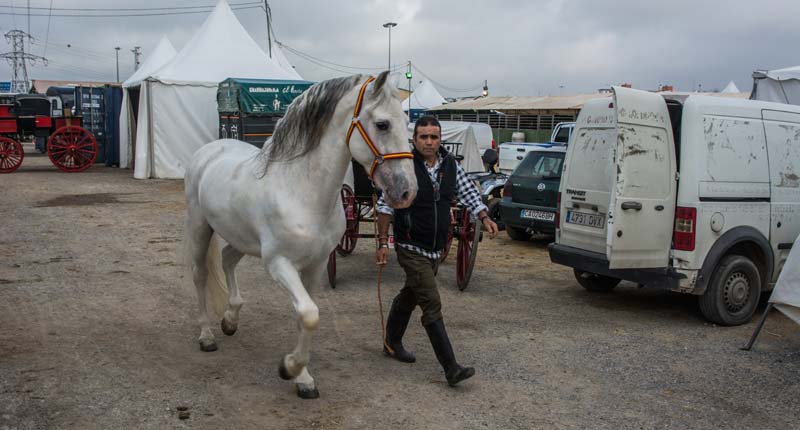 Fotos de las cuadras de la Feria de Sevilla 6