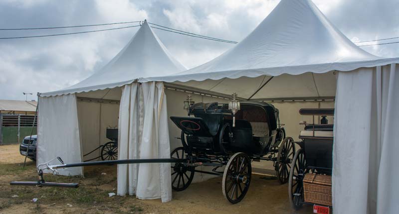 Fotos de las cuadras de la Feria de Sevilla 8