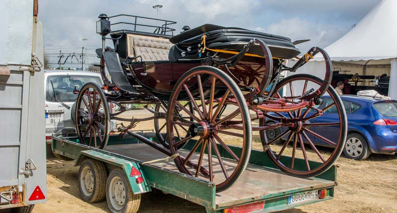 Fotos de las cuadras de la Feria de Sevilla 9